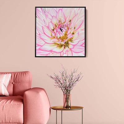 Awakening Pink Blooming Collection