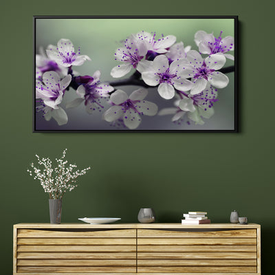 Purple Almond  Blossoms