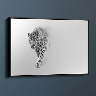 Black And White Leopard