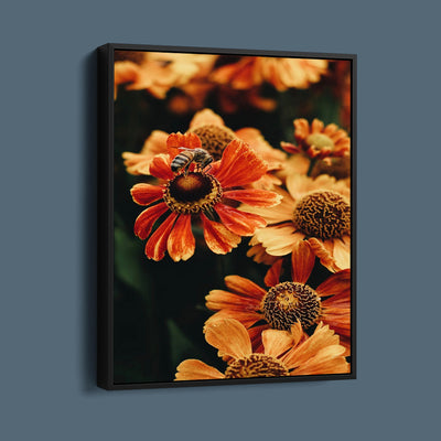 Orange Flowers And Honey Bees