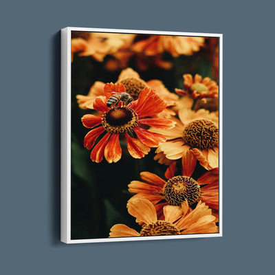 Orange Flowers And Honey Bees