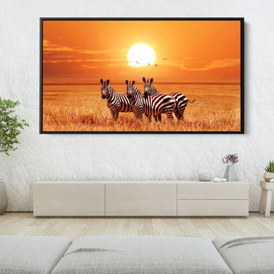 Zebra Sunset Safari