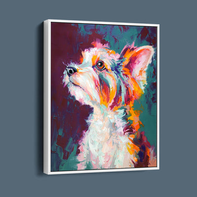 Colourful Highland Terrier Dog