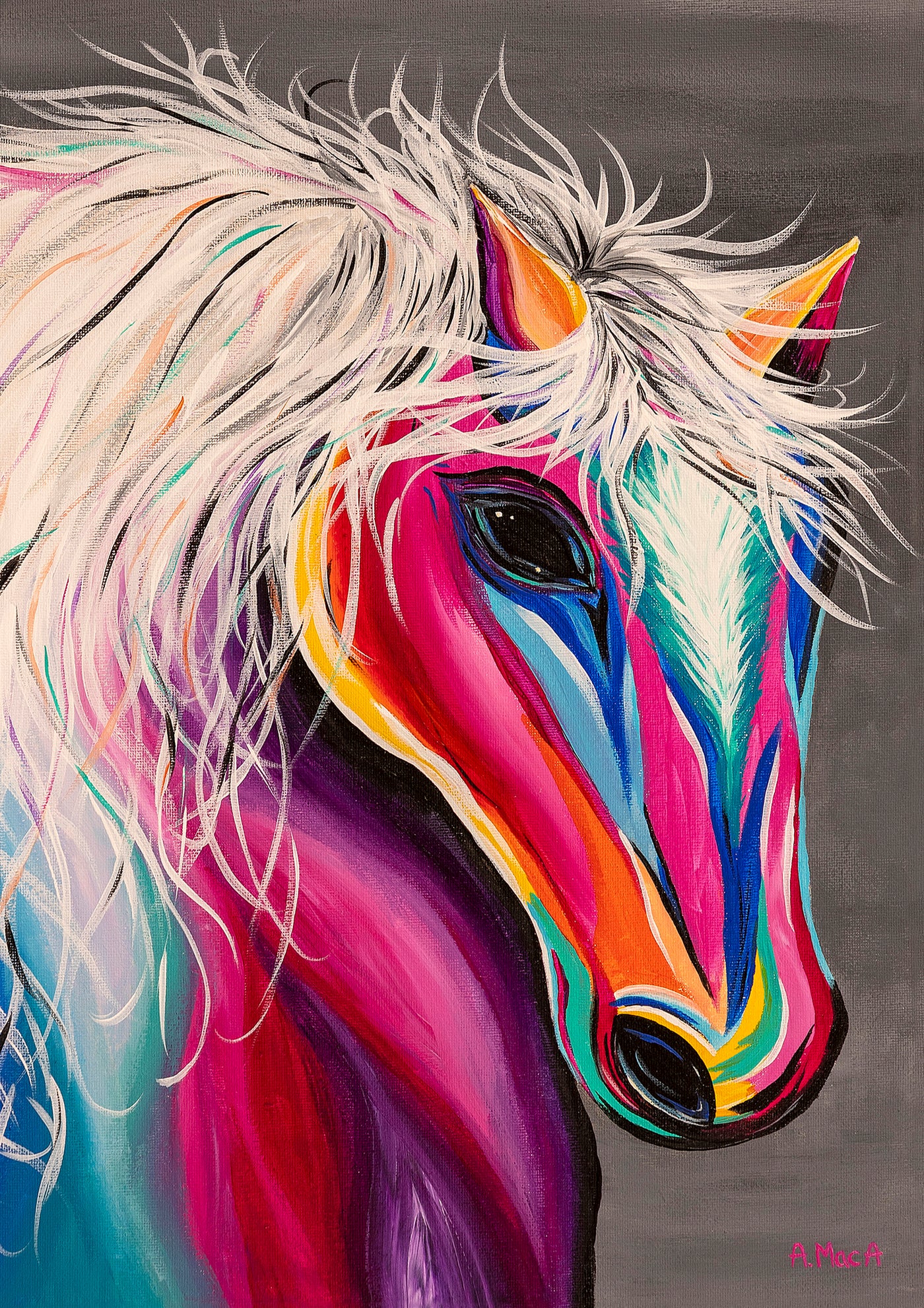 Rainbow Horse Print
