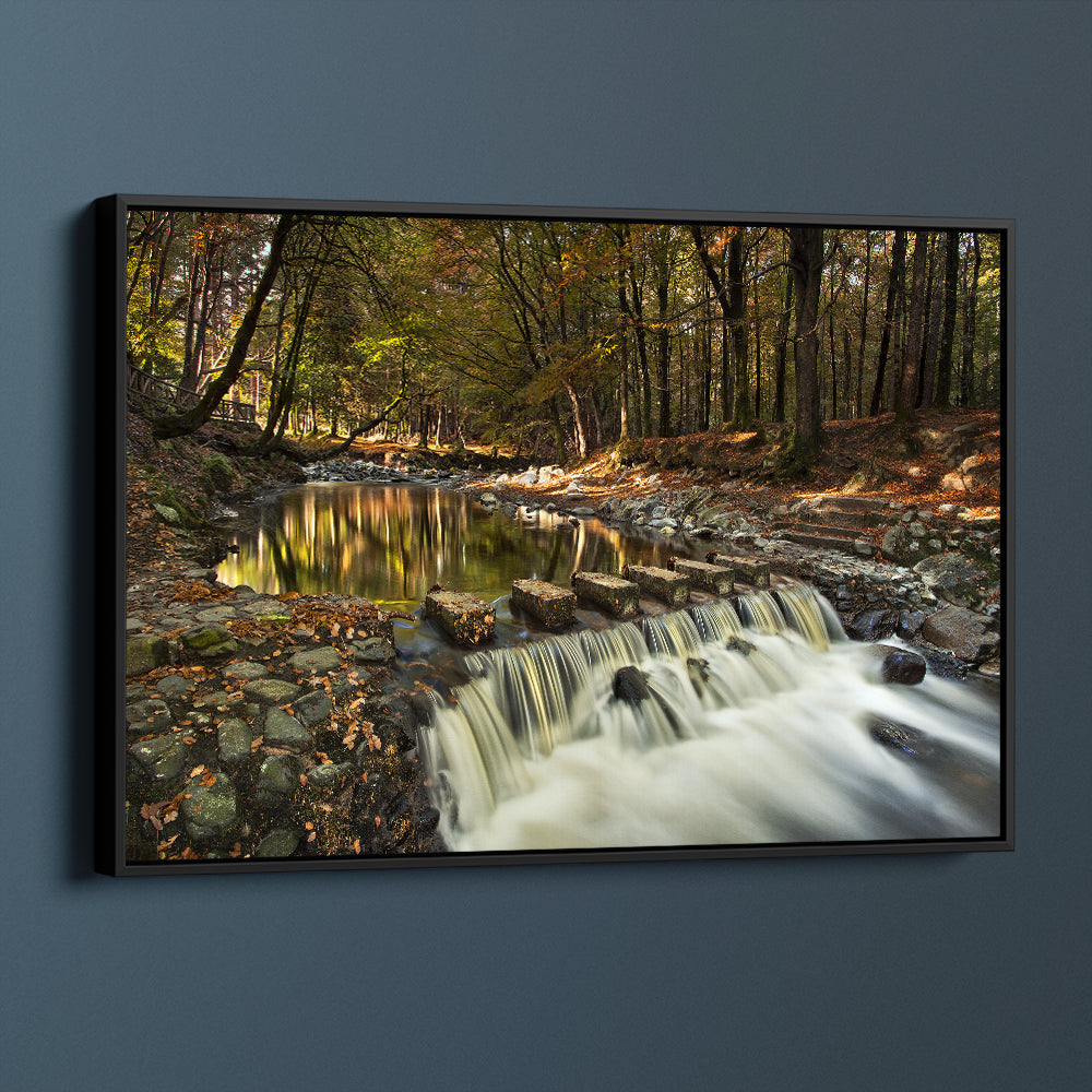 Stepping Stones At Tollymore Forest