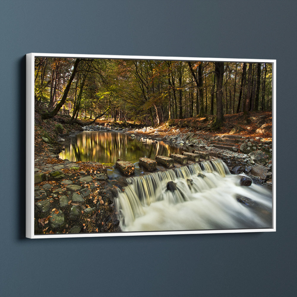 Stepping Stones At Tollymore Forest