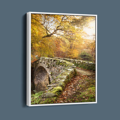 Autumn Leaves Over Foley's Bridge