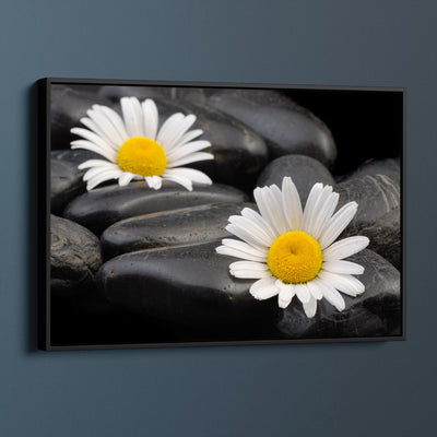 River Stones And Daisies