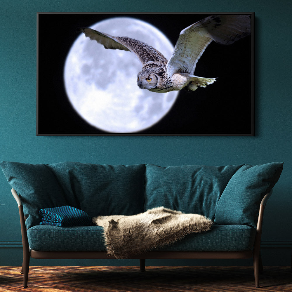 Midnight Owl