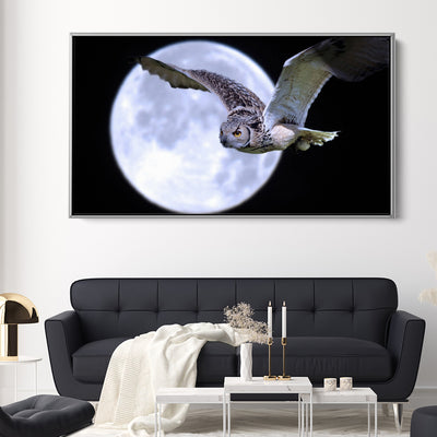 Midnight Owl