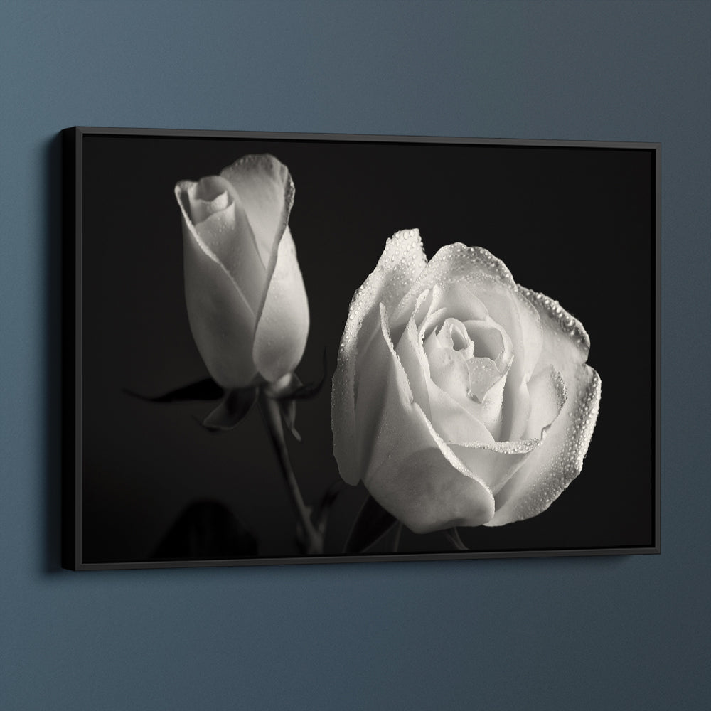 Luscious White Rose