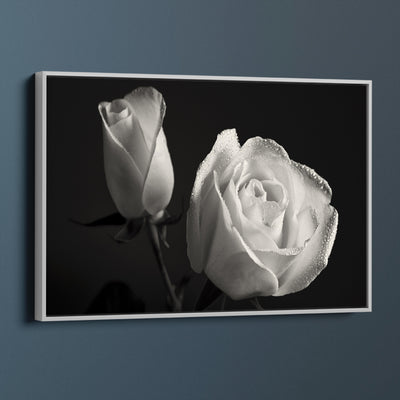 Luscious White Rose