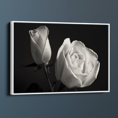 Luscious White Rose