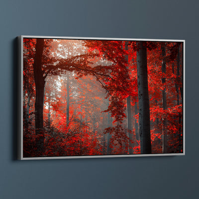 Scarlet Forest