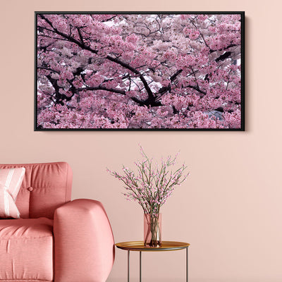 Flourishing Cherry Blossom
