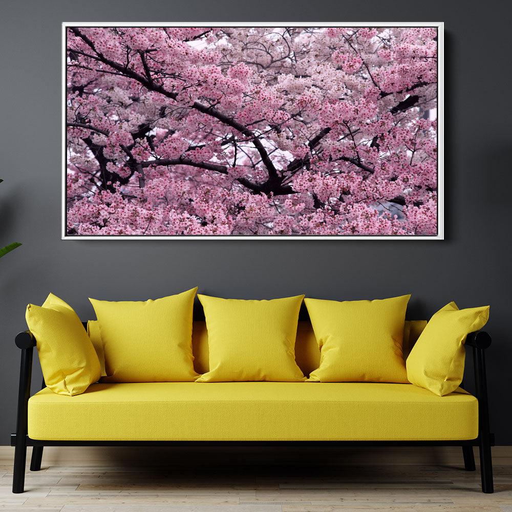 Flourishing Cherry Blossom