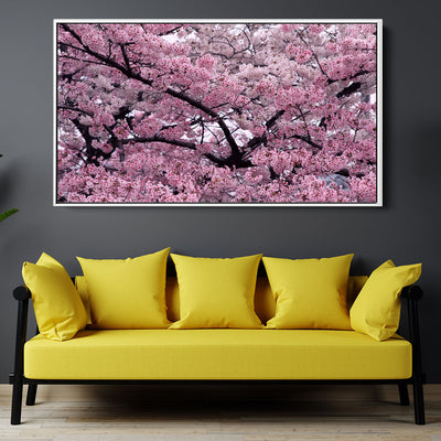 Flourishing Cherry Blossom