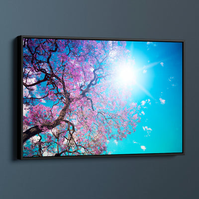 Sunshine Under The Blossoms