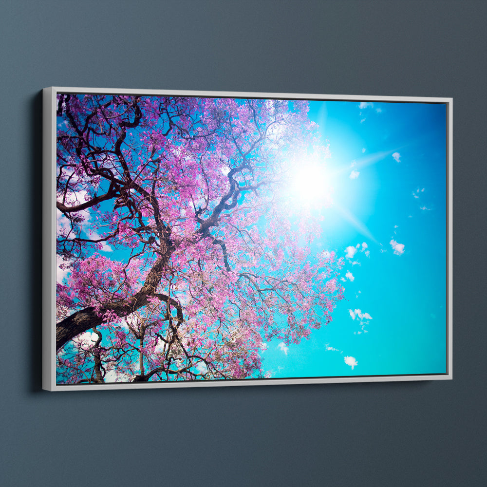 Sunshine Under The Blossoms