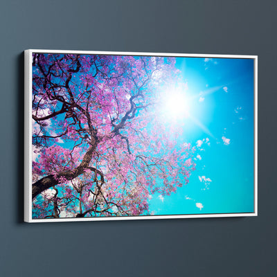 Sunshine Under The Blossoms