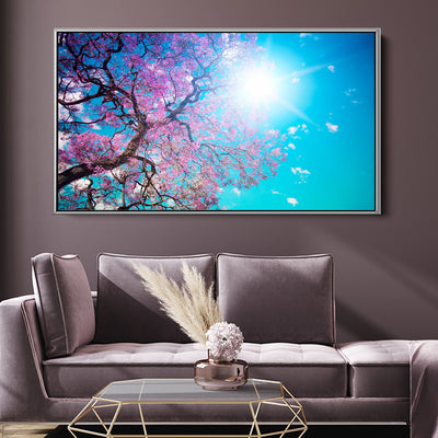 Sunshine Under The Blossoms