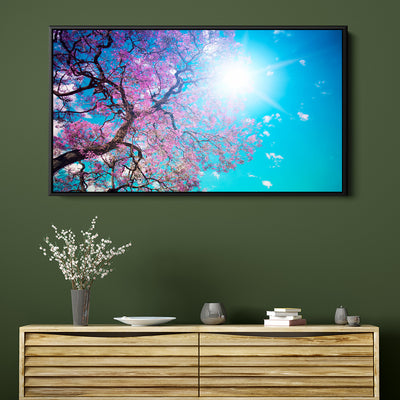 Sunshine Under The Blossoms