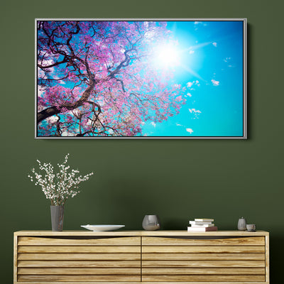 Sunshine Under The Blossoms