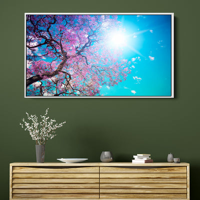 Sunshine Under The Blossoms