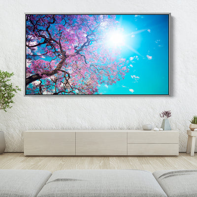 Sunshine Under The Blossoms