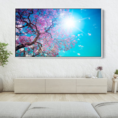 Sunshine Under The Blossoms