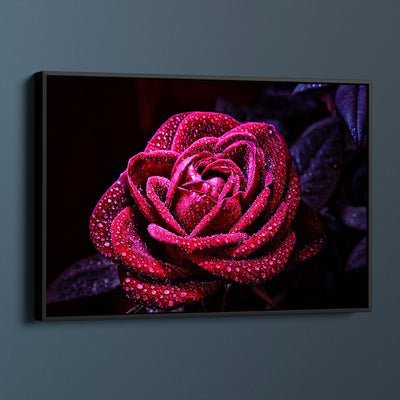 Rain Bejeweled Rose