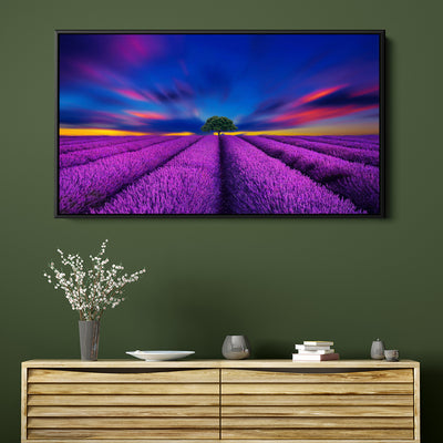 Fluorescent Lavender Field