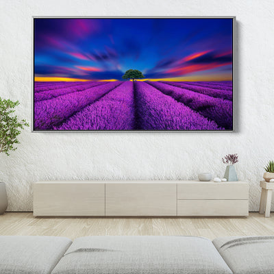 Fluorescent Lavender Field