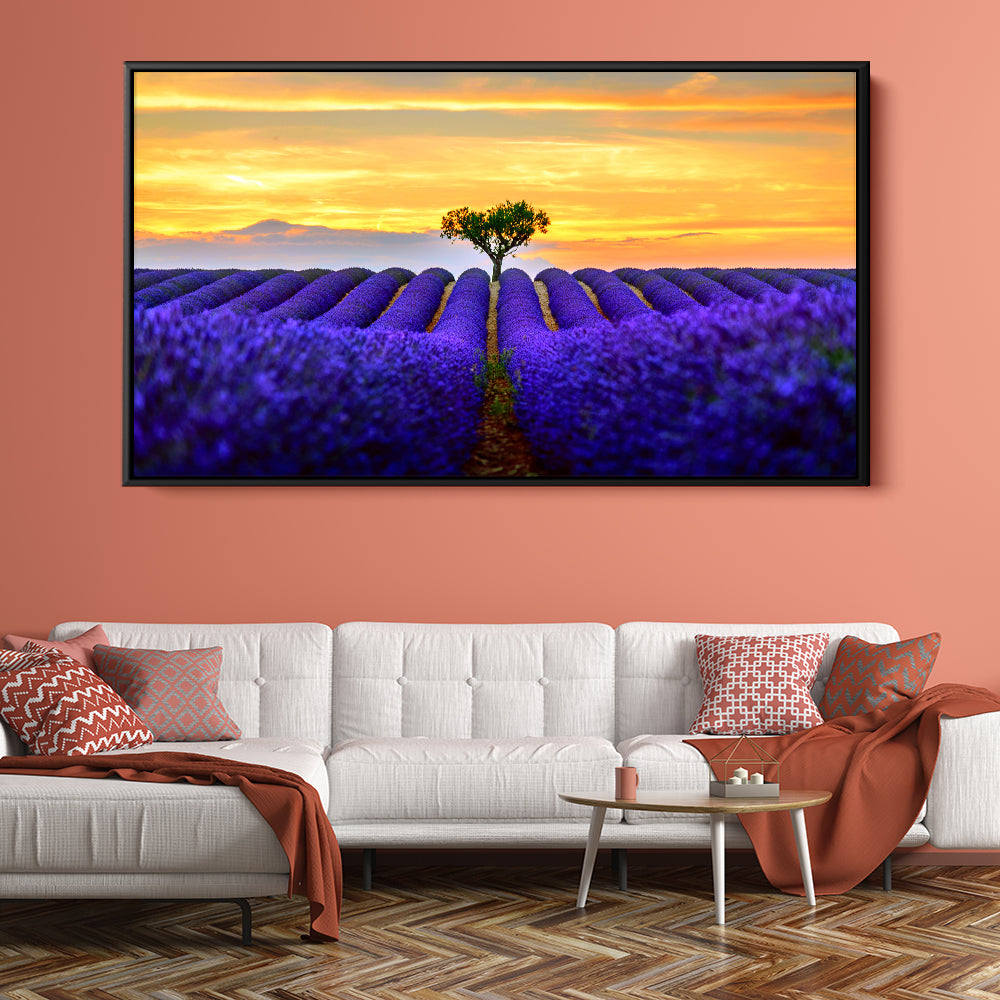 Sunset Lavender Fields