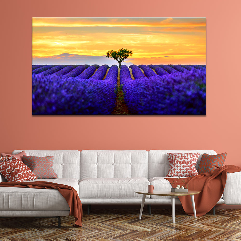 Sunset Lavender Fields