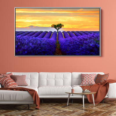 Sunset Lavender Fields