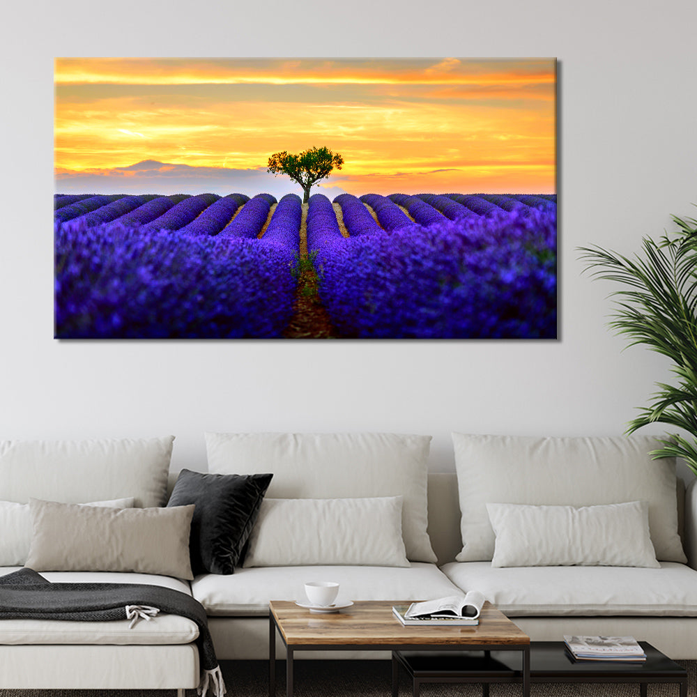 Sunset Lavender Fields