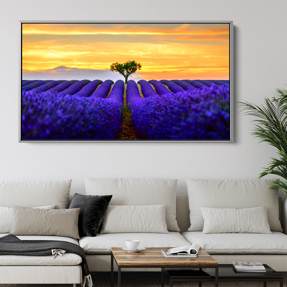 Sunset Lavender Fields