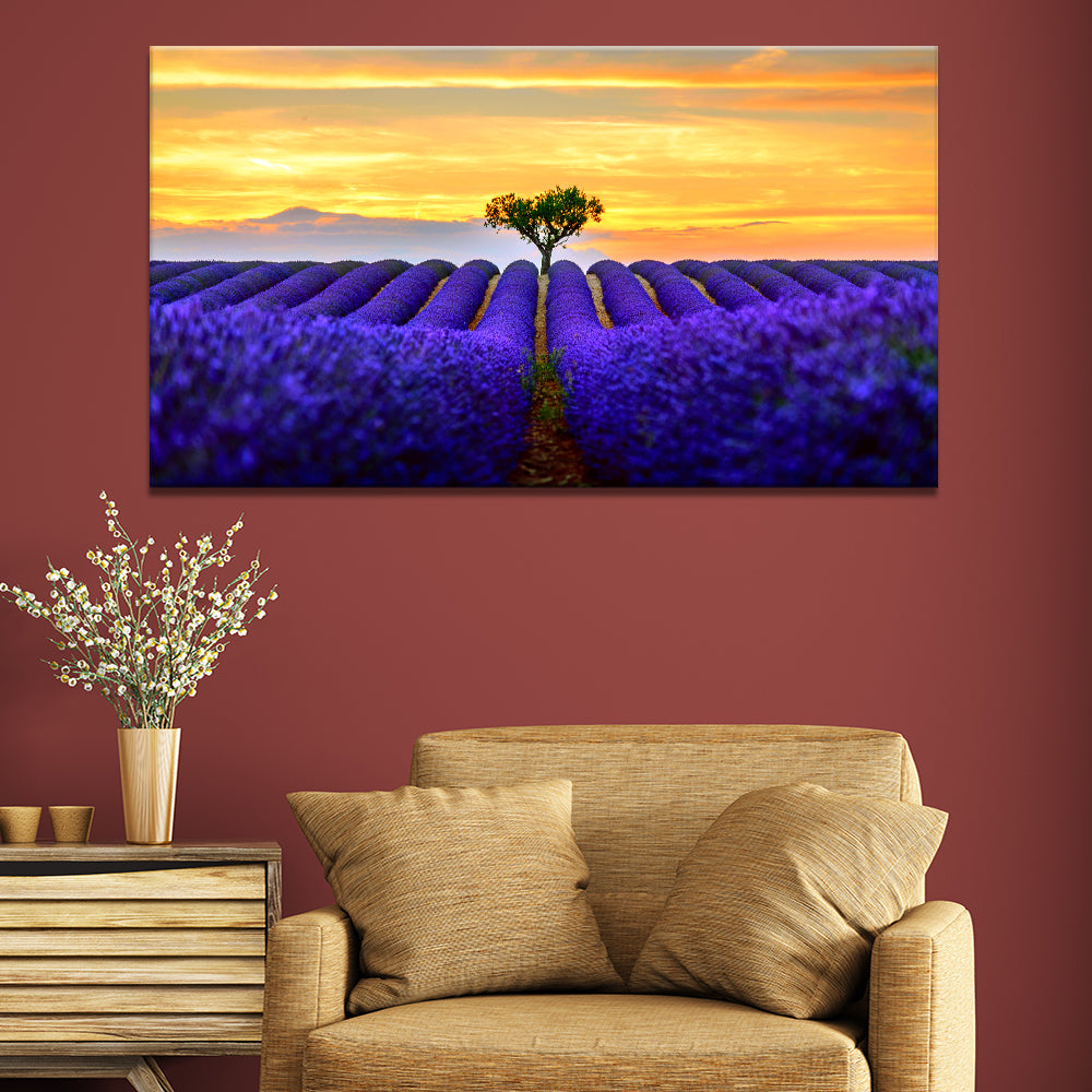 Sunset Lavender Fields