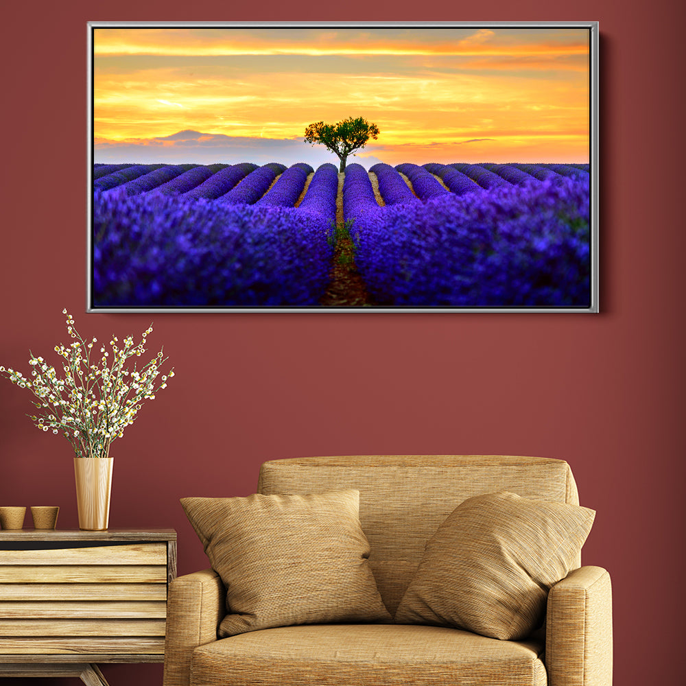 Sunset Lavender Fields