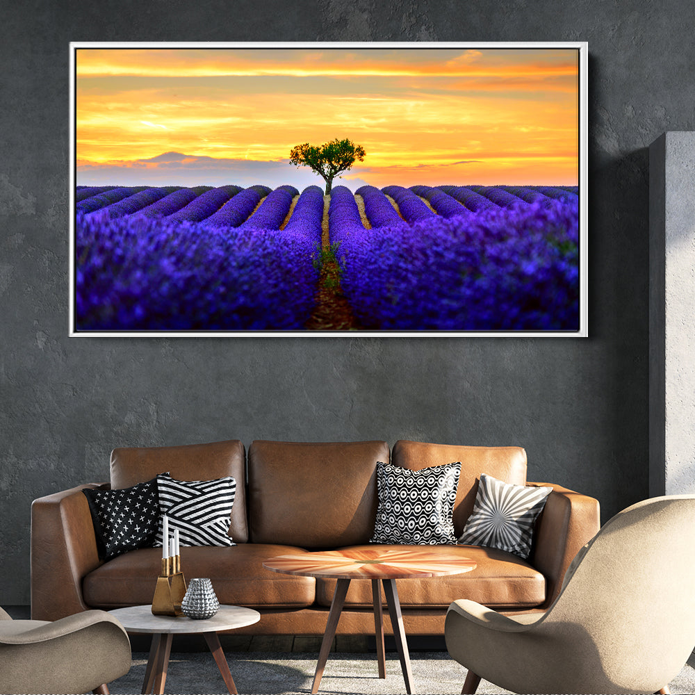 Sunset Lavender Fields