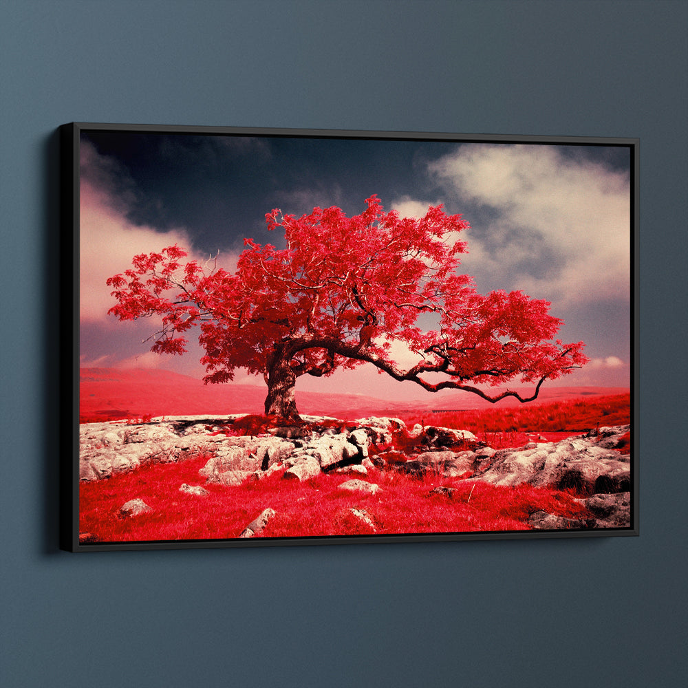 Red Tree Blossom