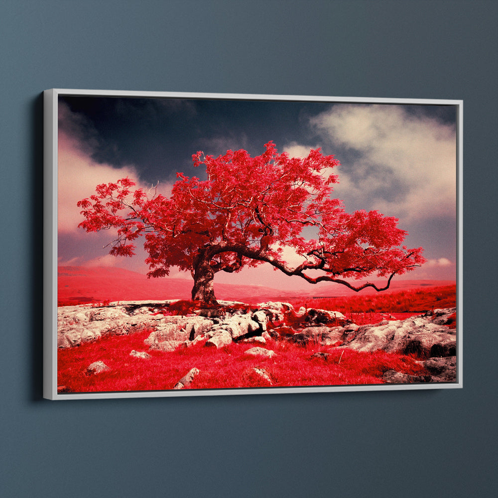 Red Tree Blossom