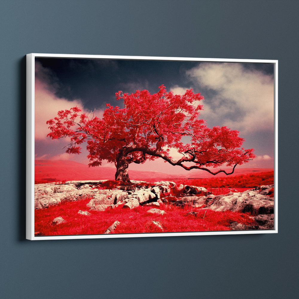 Red Tree Blossom