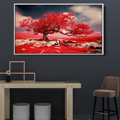 Red Tree Blossom