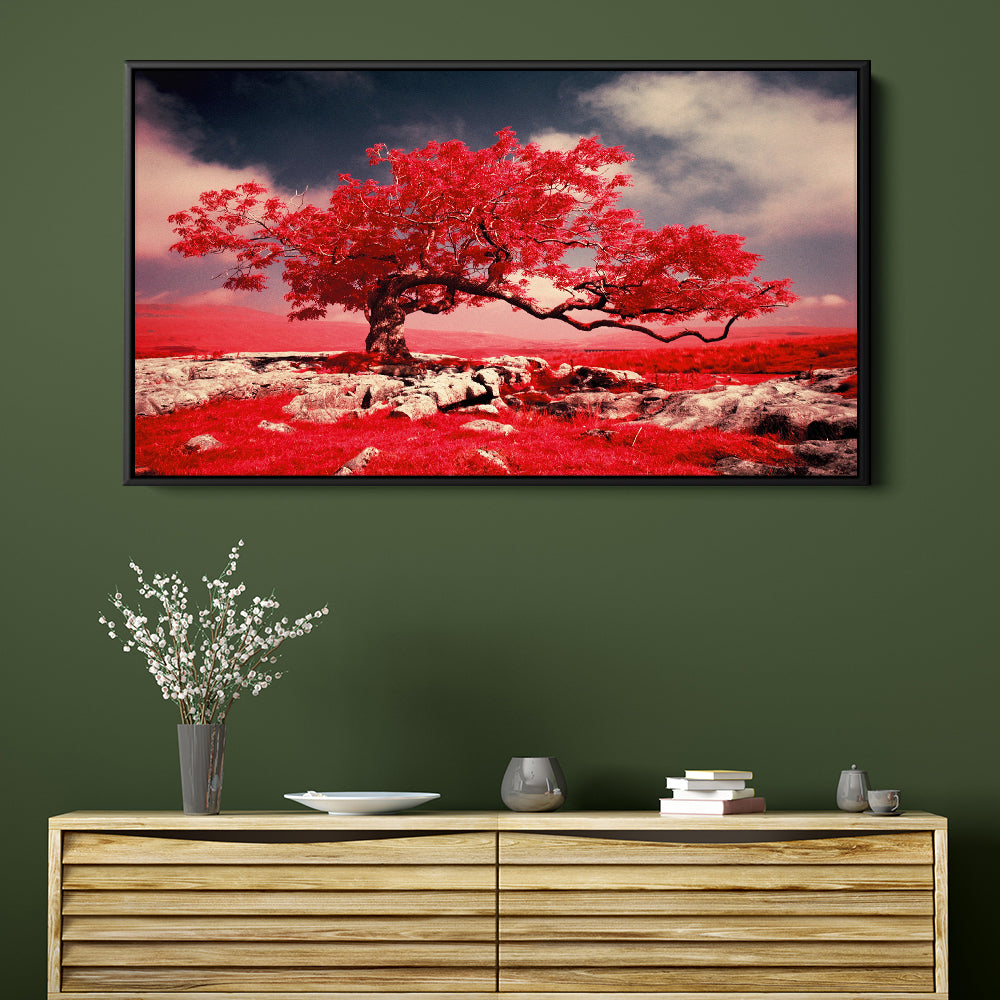 Red Tree Blossom