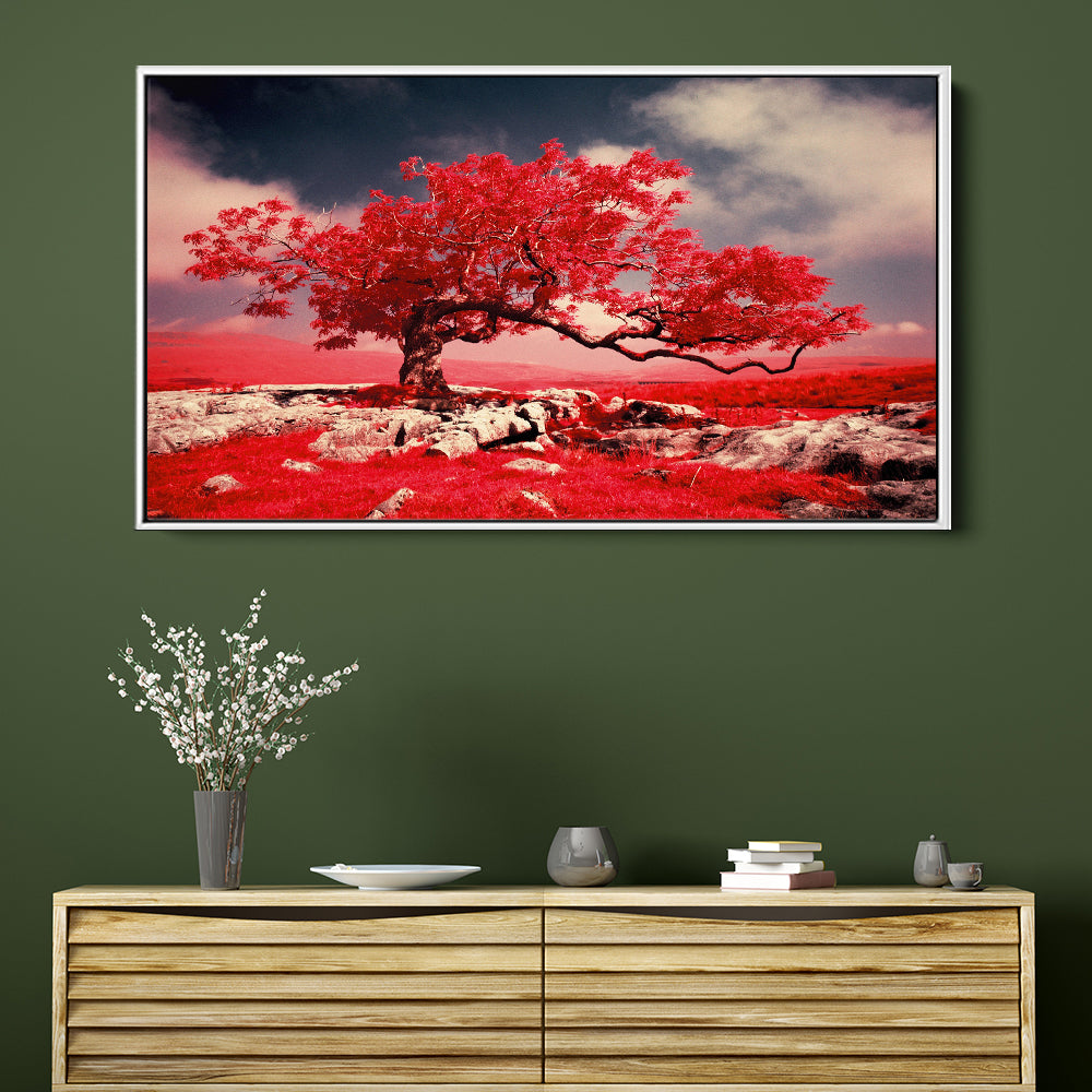 Red Tree Blossom