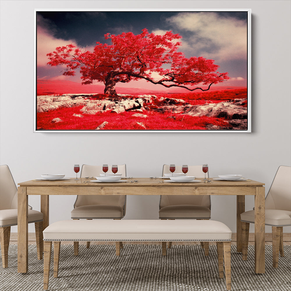 Red Tree Blossom