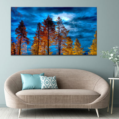 Forest At Dusk