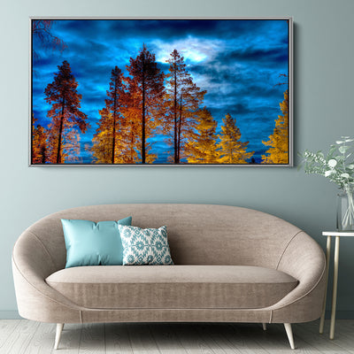 Forest At Dusk